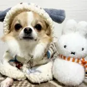 ぽこ