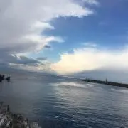 KING“プロフ必須“の画像