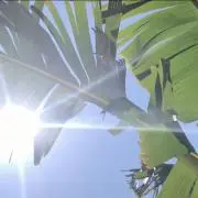sbmの画像