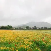 ℳの画像