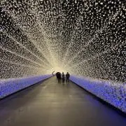tomoの画像