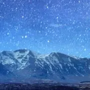 cocoの画像