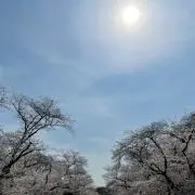 aの画像