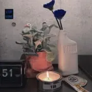 かくもの画像