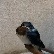 nnnの画像