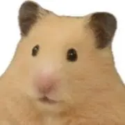 うぇっさの画像