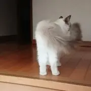 taka (プロフ確認お願いします)の画像