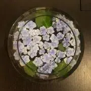 mtniの画像