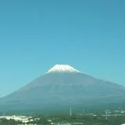 ゆゆゆ