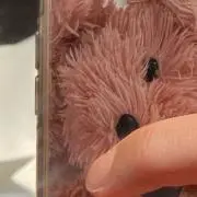 yuu.の画像