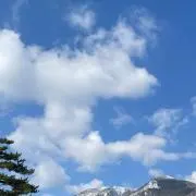nessの画像