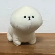 わろんてぃの画像