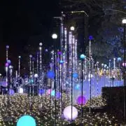 ゆるの画像