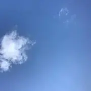 はなちゃん