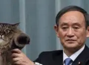 ガースーの画像