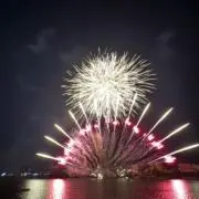 毒毒きのこの画像