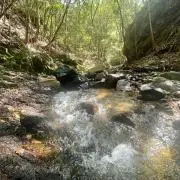 やまの画像