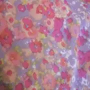 mimoza**の画像