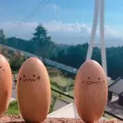 のむ