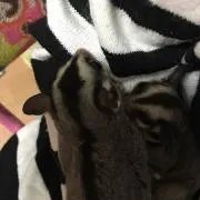 ミル