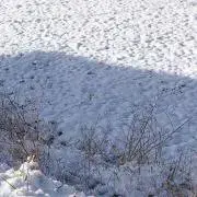 水澤