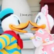 ぽんの画像