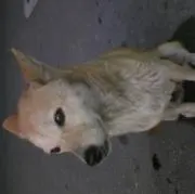 takoTの画像