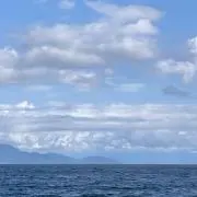 ブービーの画像