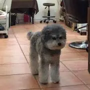 ★りん★プロフ必読の画像