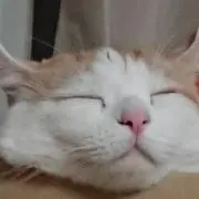 anne