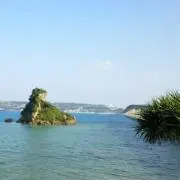 カリメロの画像