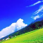 たけし