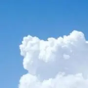 るかの画像