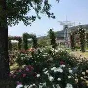coffeeの画像