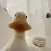 maの画像