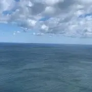 ナガシマーズの画像