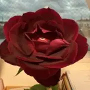 user_7b803688の画像