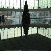 ルーヴルの画像