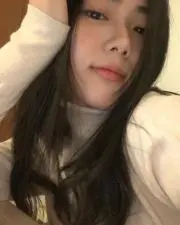 520の画像