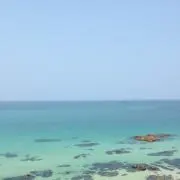 とっつの画像