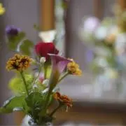zumyの画像