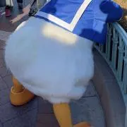 n♡