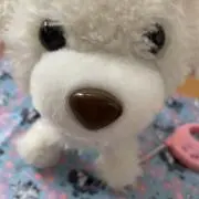 ルビィの画像