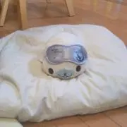 tk