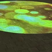 梓