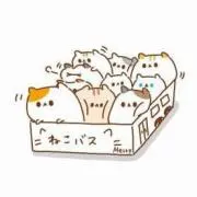 おまめねこ