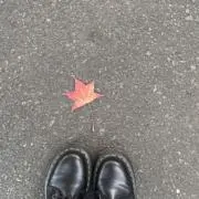 ksmの画像
