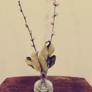 西日の画像