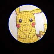 あゆの画像