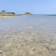 あめちゃん★の画像